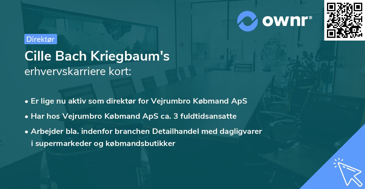 Cille Bach Kriegbaum's erhvervskarriere kort