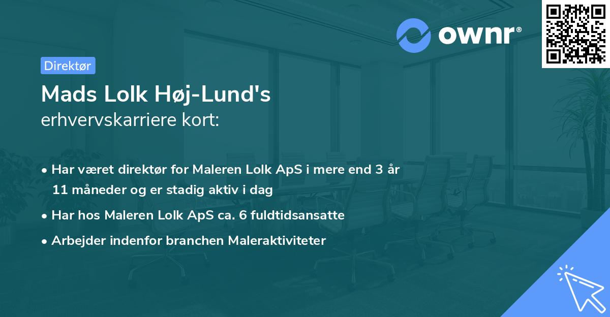 Mads Lolk Høj-Lund's erhvervskarriere kort
