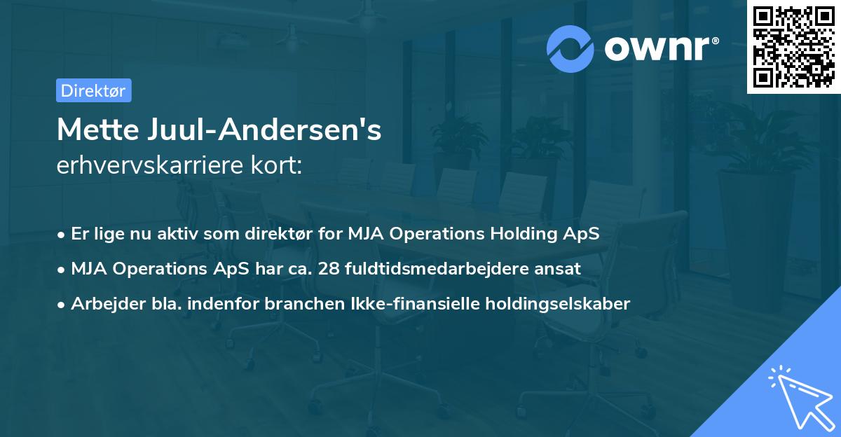 Mette Juul-Andersen's erhvervskarriere kort