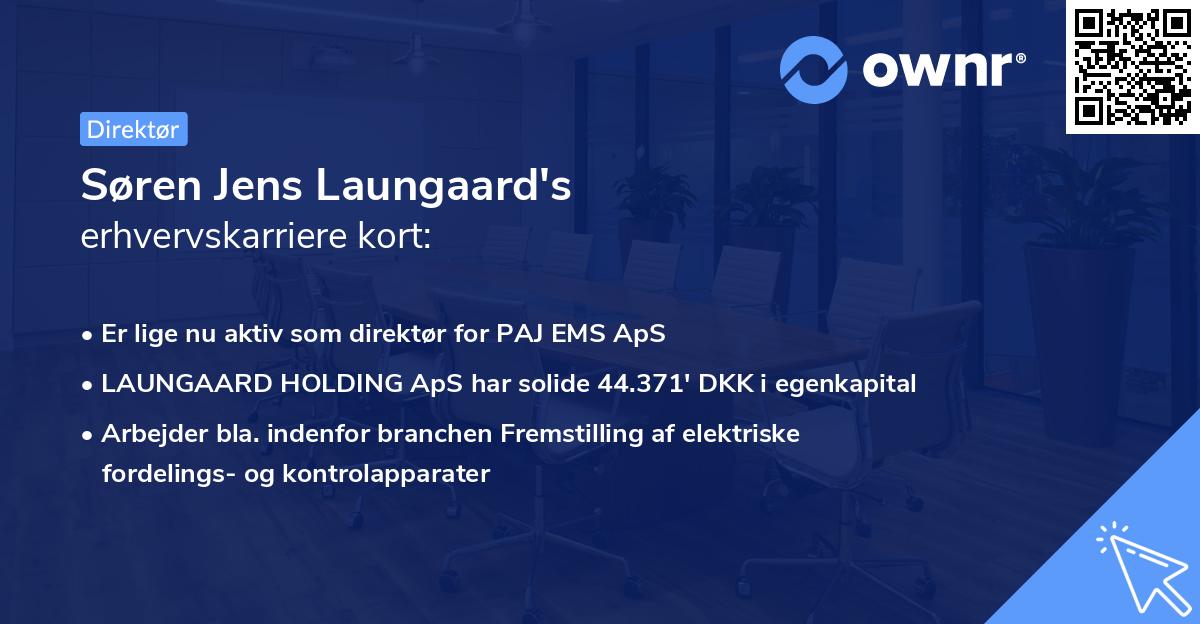 Søren Jens Laungaard's erhvervskarriere kort