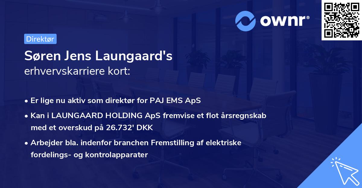 Søren Jens Laungaard's erhvervskarriere kort