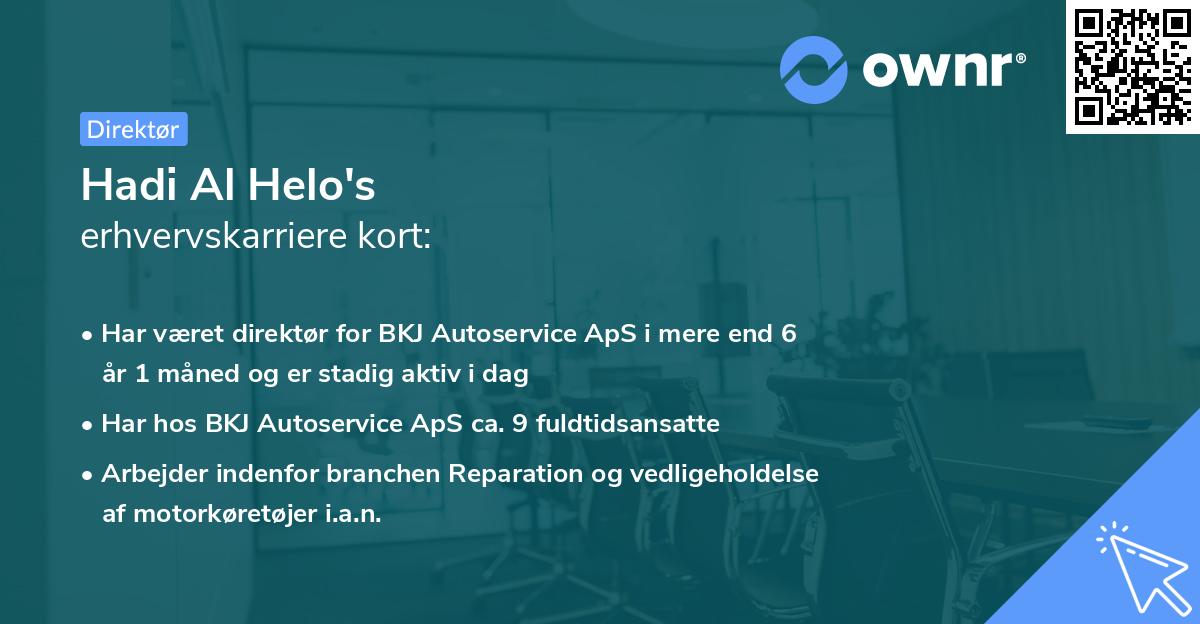 Hadi Al Helo's erhvervskarriere kort