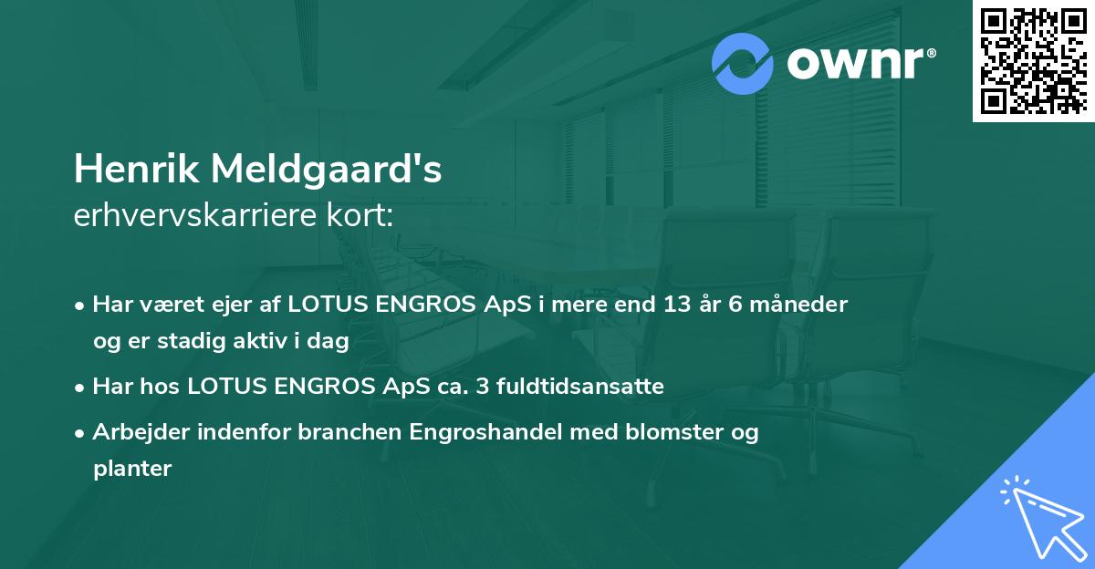 Henrik Meldgaard's erhvervskarriere kort