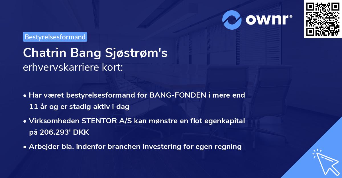 Chatrin Bang Sjøstrøm's erhvervskarriere kort