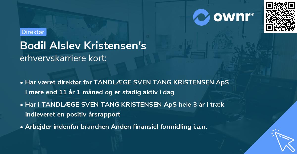 Bodil Alslev Kristensen's erhvervskarriere kort