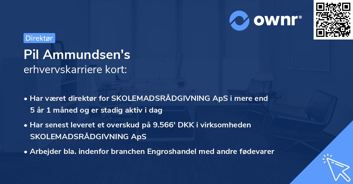 Pil Ammundsen's erhvervskarriere kort