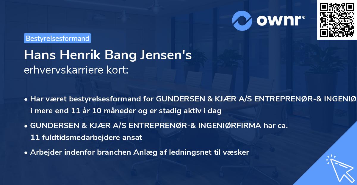 Hans Henrik Bang Jensen's erhvervskarriere kort