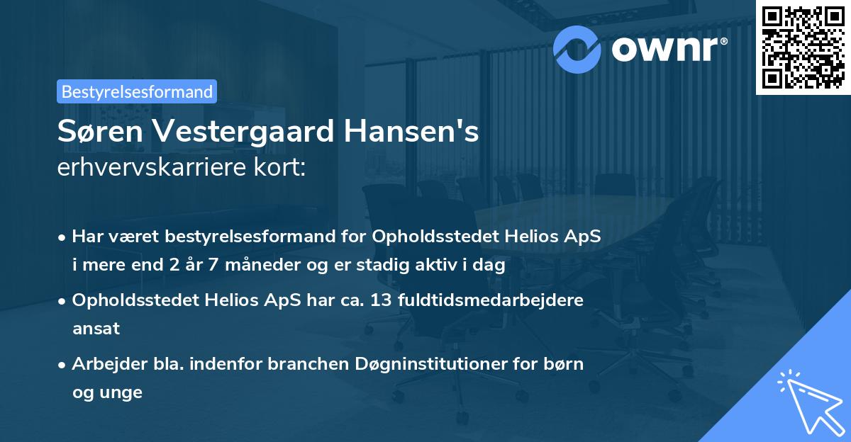 Søren Vestergaard Hansen's erhvervskarriere kort