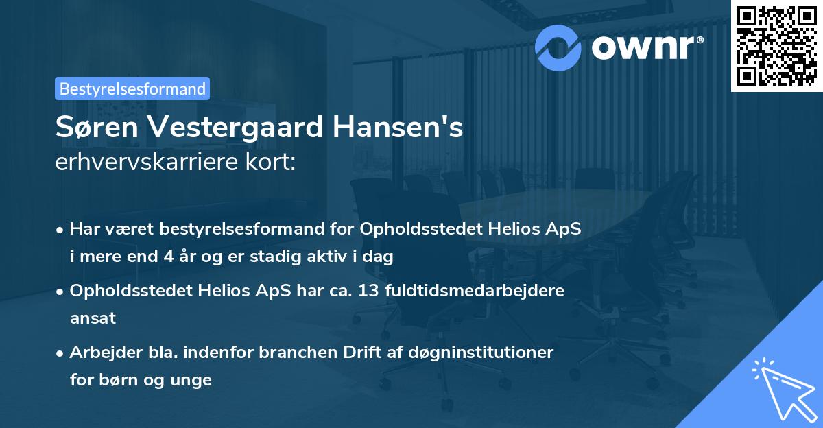 Søren Vestergaard Hansen's erhvervskarriere kort