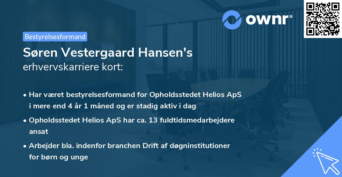 Søren Vestergaard Hansen's erhvervskarriere kort