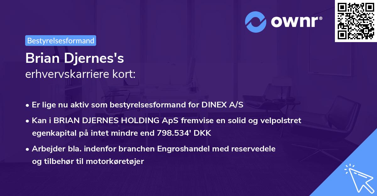 Brian Djernes's erhvervskarriere kort