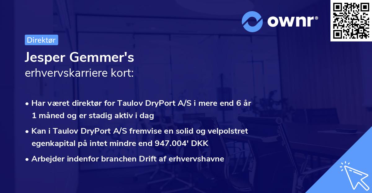Jesper Gemmer's erhvervskarriere kort