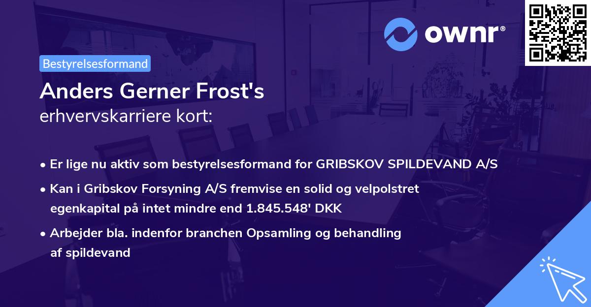 Anders Gerner Frost's erhvervskarriere kort
