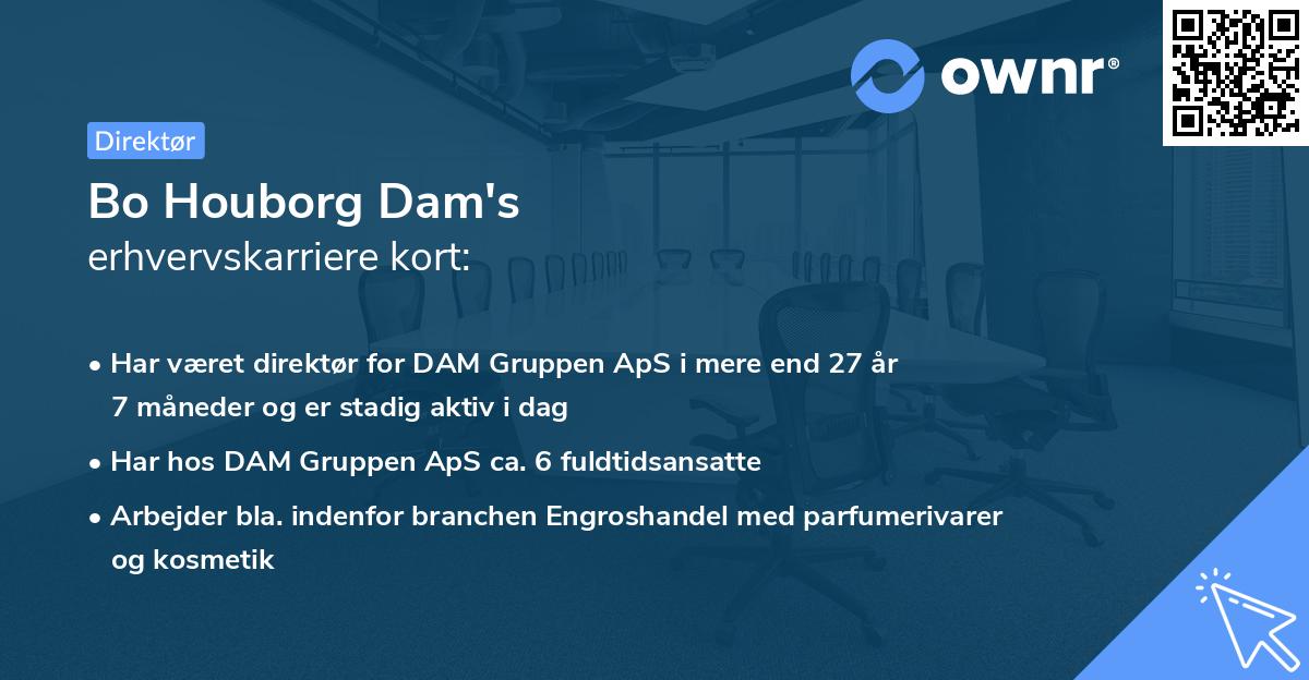 Bo Houborg Dam's erhvervskarriere kort