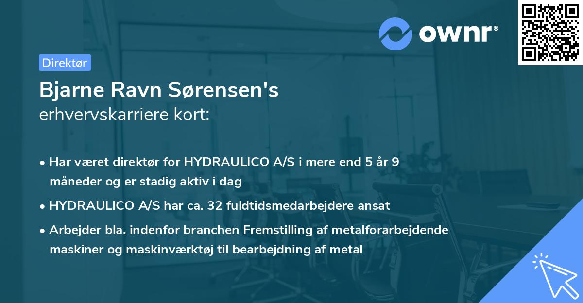 Bjarne Ravn Sørensen's erhvervskarriere kort