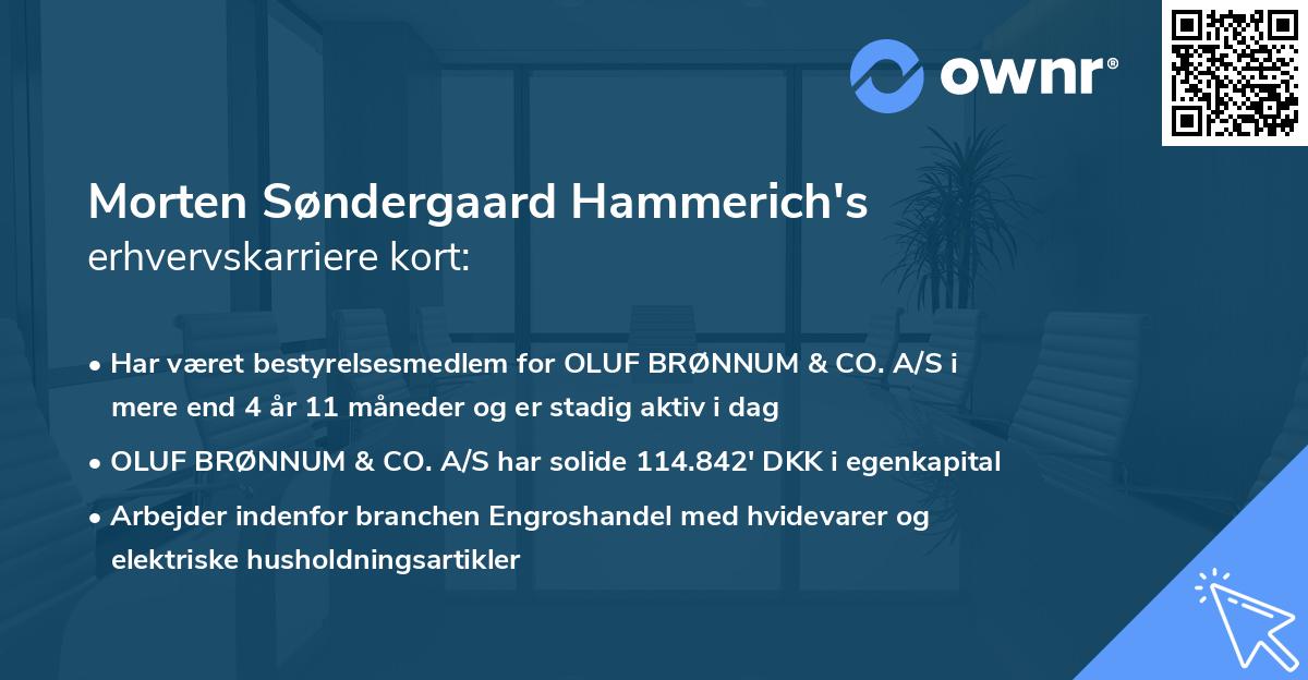 Morten Søndergaard Hammerich's erhvervskarriere kort