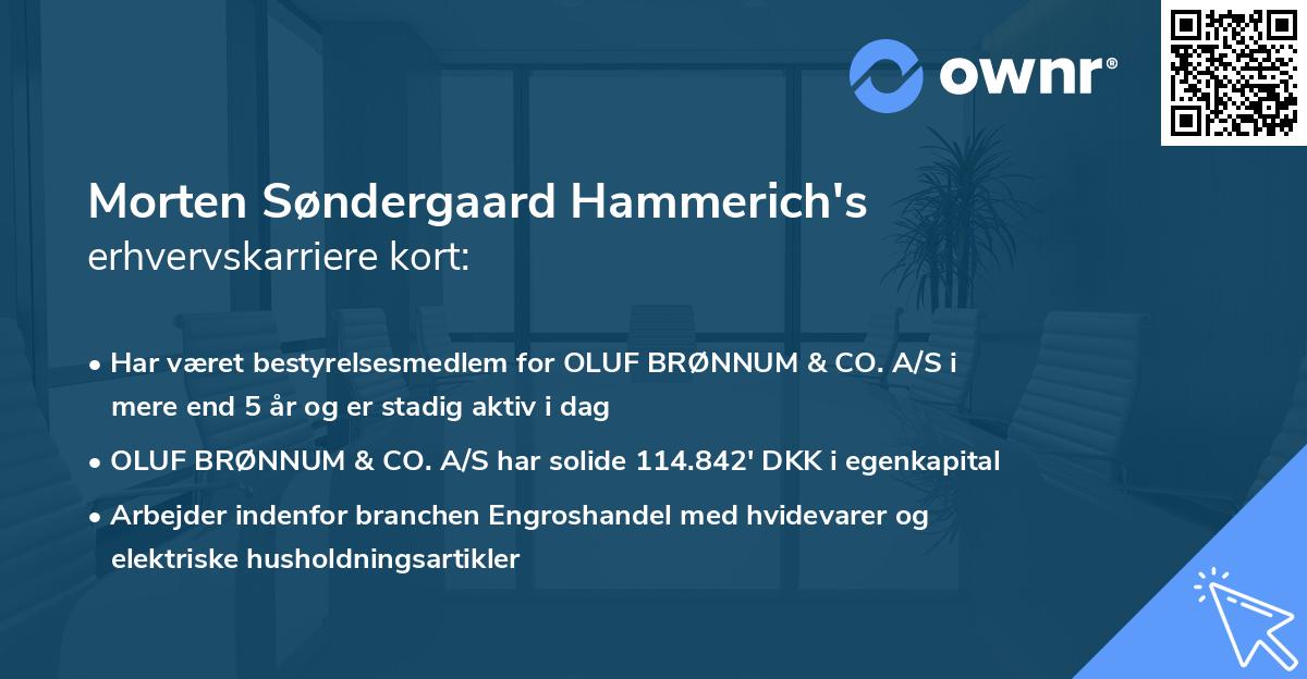 Morten Søndergaard Hammerich's erhvervskarriere kort
