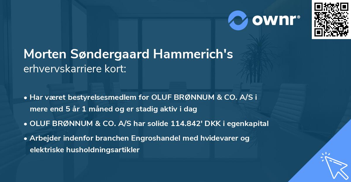 Morten Søndergaard Hammerich's erhvervskarriere kort
