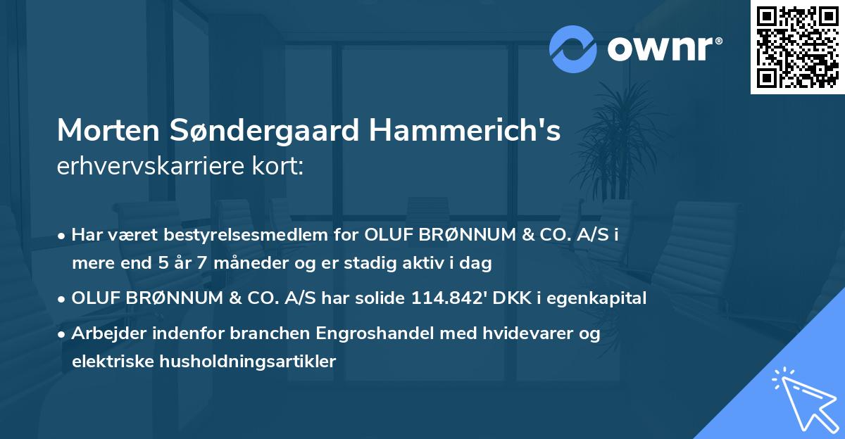 Morten Søndergaard Hammerich's erhvervskarriere kort