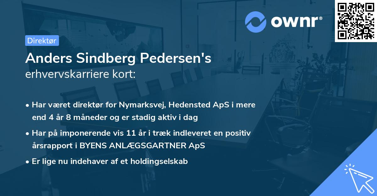 Anders Sindberg Pedersen's erhvervskarriere kort