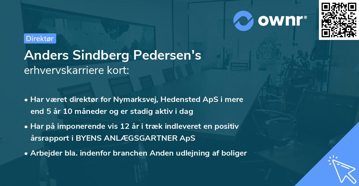 Anders Sindberg Pedersen's erhvervskarriere kort