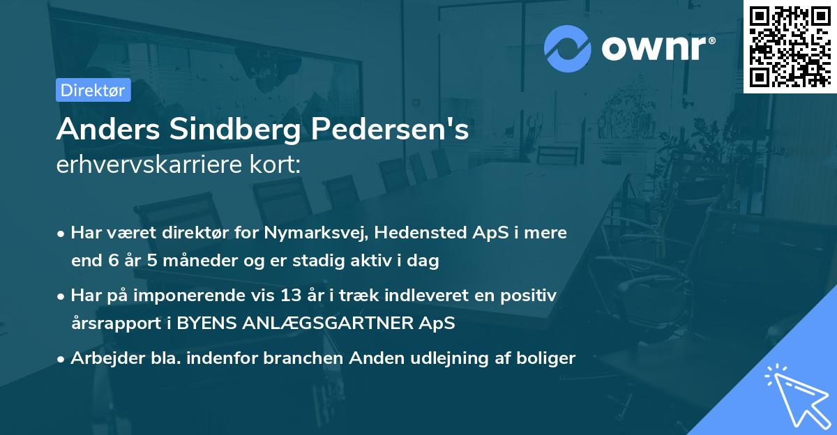 Anders Sindberg Pedersen's erhvervskarriere kort