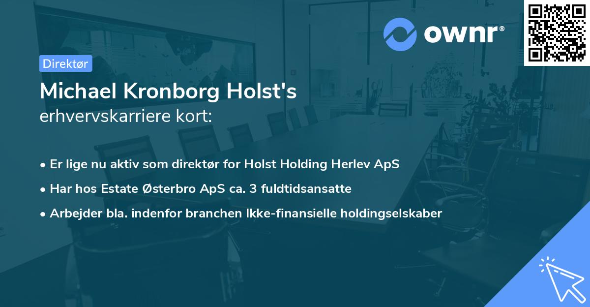 Michael Kronborg Holst's erhvervskarriere kort