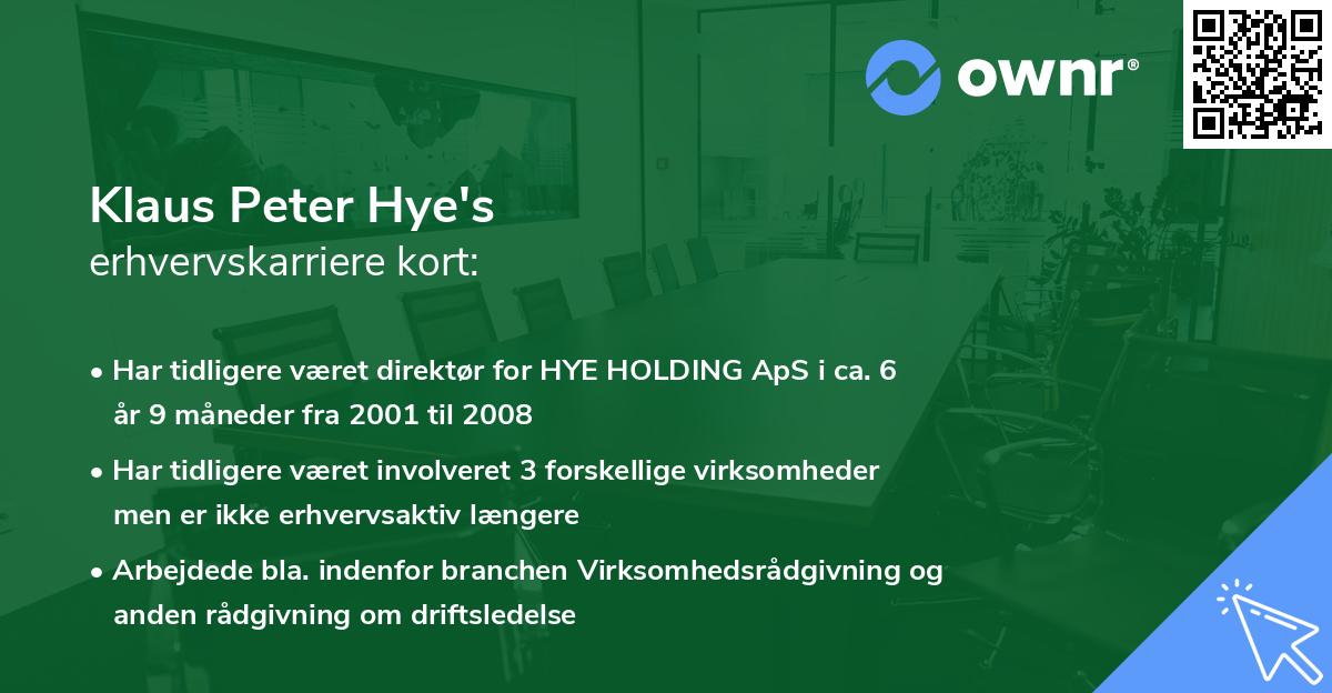 Klaus Peter Hye's erhvervskarriere kort