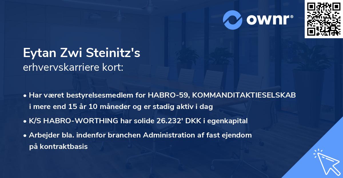 Eytan Zwi Steinitz's erhvervskarriere kort