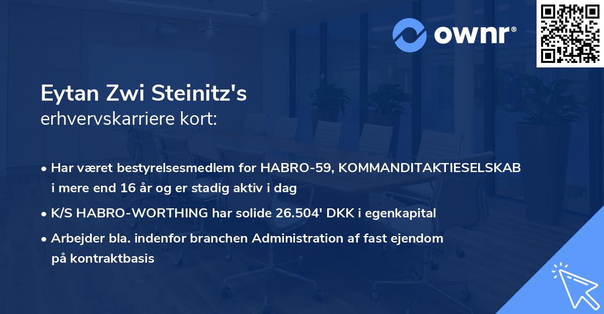 Eytan Zwi Steinitz's erhvervskarriere kort