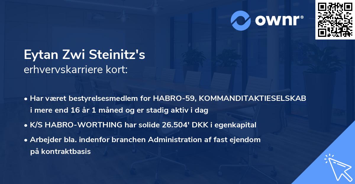 Eytan Zwi Steinitz's erhvervskarriere kort