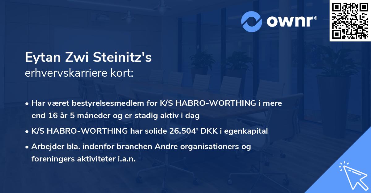 Eytan Zwi Steinitz's erhvervskarriere kort