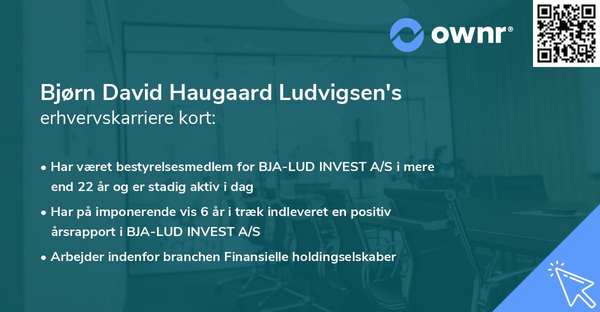 Bjørn David Haugaard Ludvigsen's erhvervskarriere kort