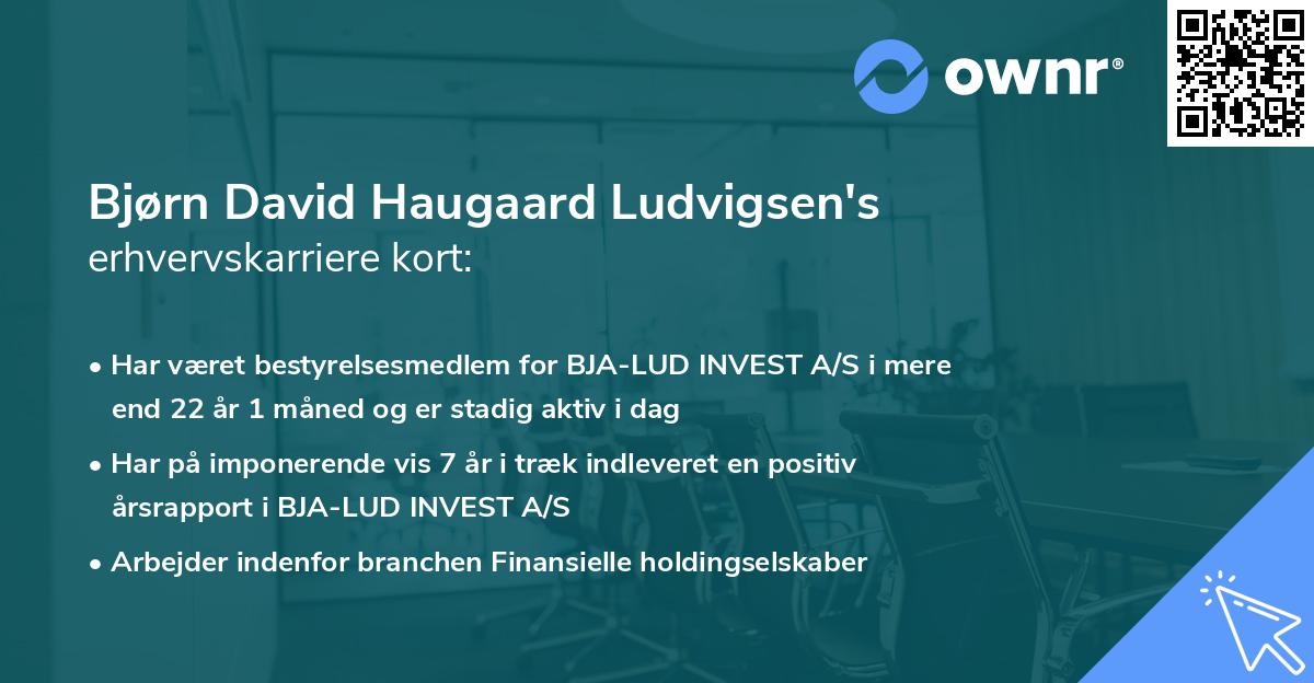 Bjørn David Haugaard Ludvigsen's erhvervskarriere kort