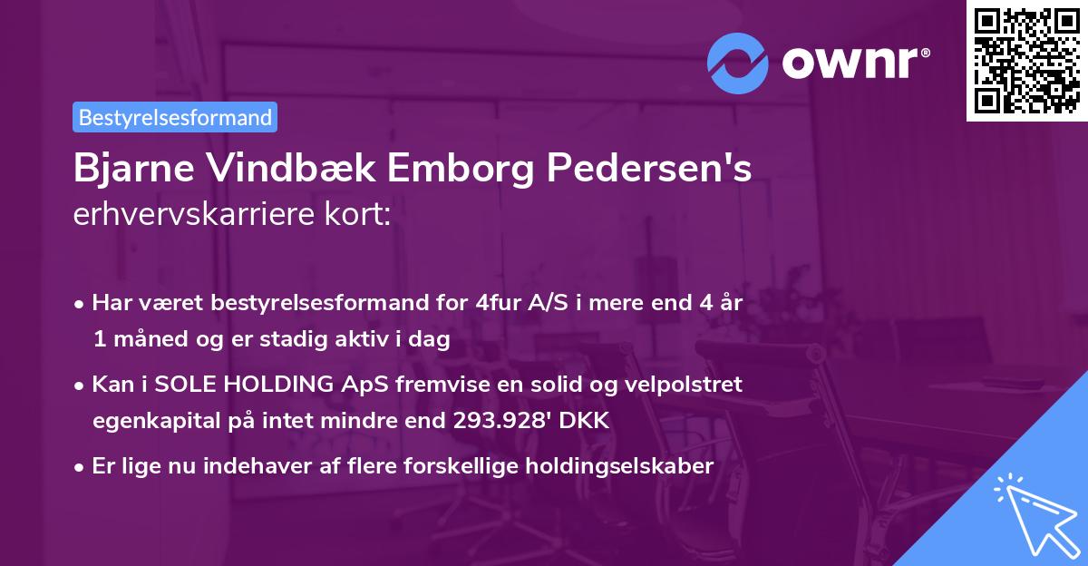 Bjarne Vindbæk Emborg Pedersen's erhvervskarriere kort