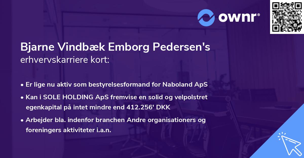 Bjarne Vindbæk Emborg Pedersen's erhvervskarriere kort