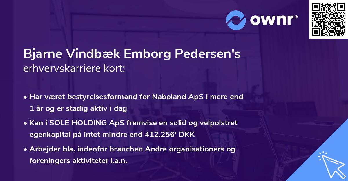 Bjarne Vindbæk Emborg Pedersen's erhvervskarriere kort