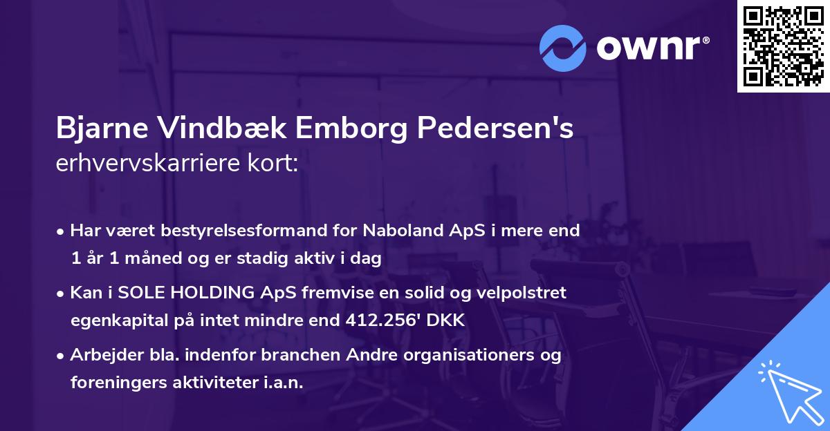 Bjarne Vindbæk Emborg Pedersen's erhvervskarriere kort