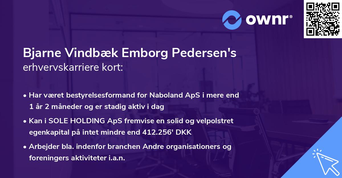 Bjarne Vindbæk Emborg Pedersen's erhvervskarriere kort