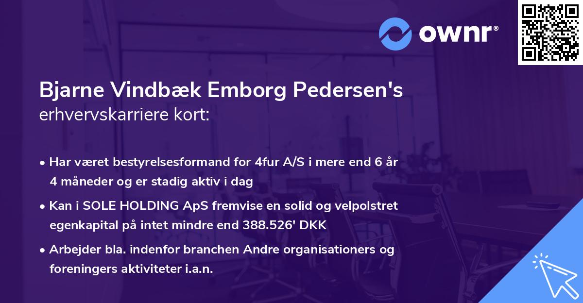 Bjarne Vindbæk Emborg Pedersen's erhvervskarriere kort