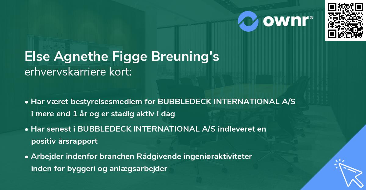 Else Agnethe Figge Breuning's erhvervskarriere kort