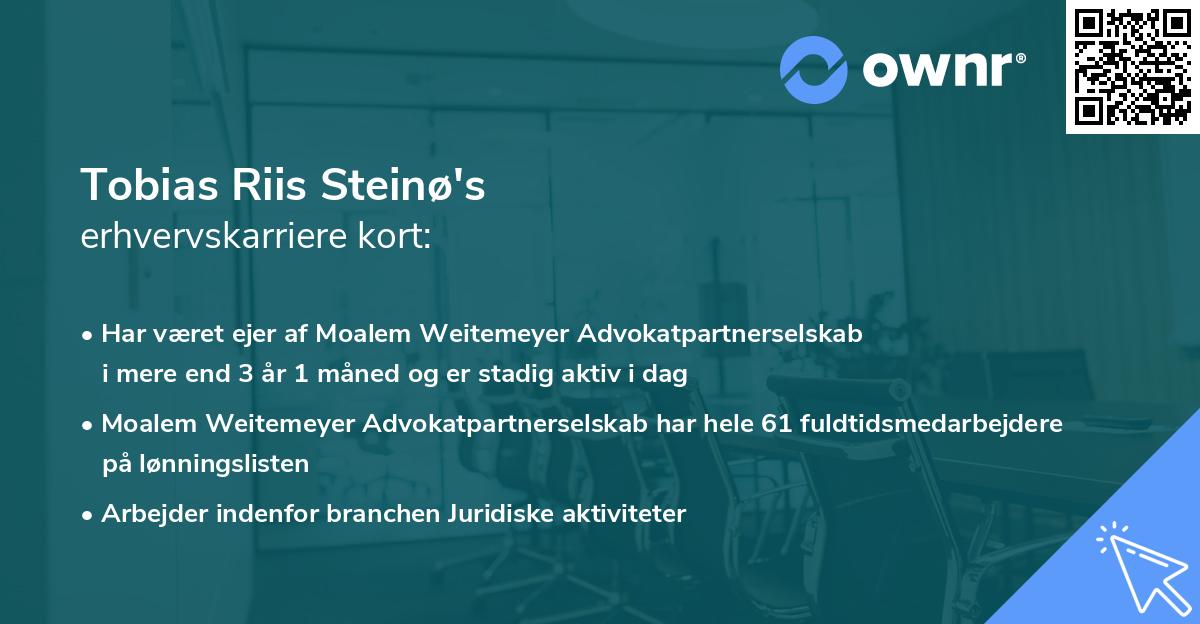 Tobias Riis Steinø's erhvervskarriere kort