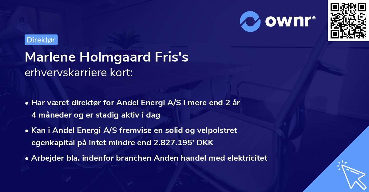 Marlene Holmgaard Fris's erhvervskarriere kort
