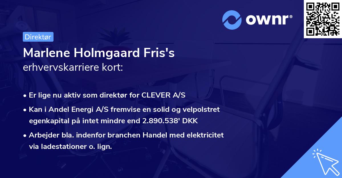 Marlene Holmgaard Fris's erhvervskarriere kort