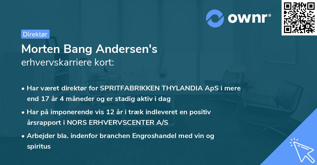 Morten Bang Andersen's erhvervskarriere kort