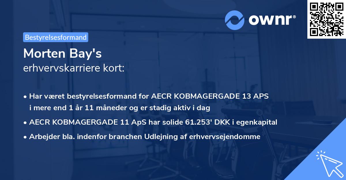 Morten Bay's erhvervskarriere kort