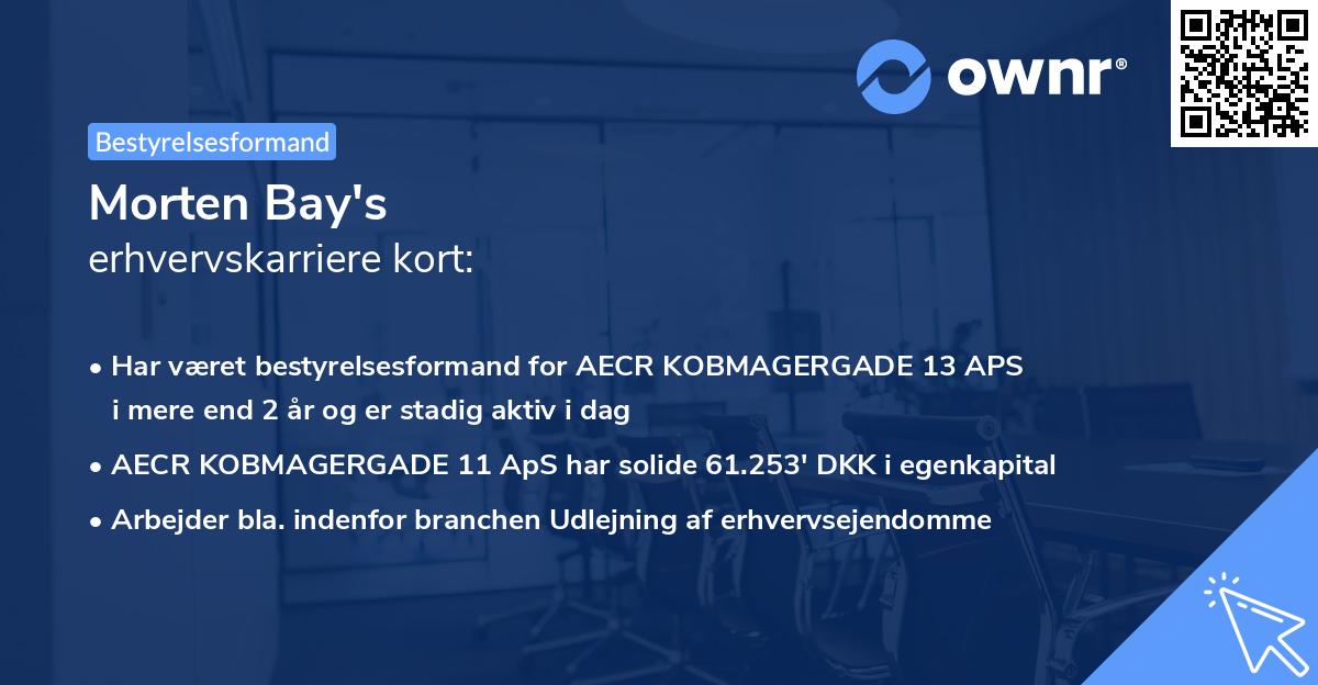 Morten Bay's erhvervskarriere kort