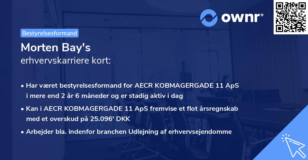 Morten Bay's erhvervskarriere kort