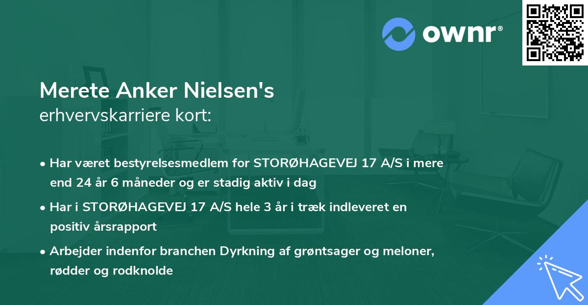 Merete Anker Nielsen's erhvervskarriere kort