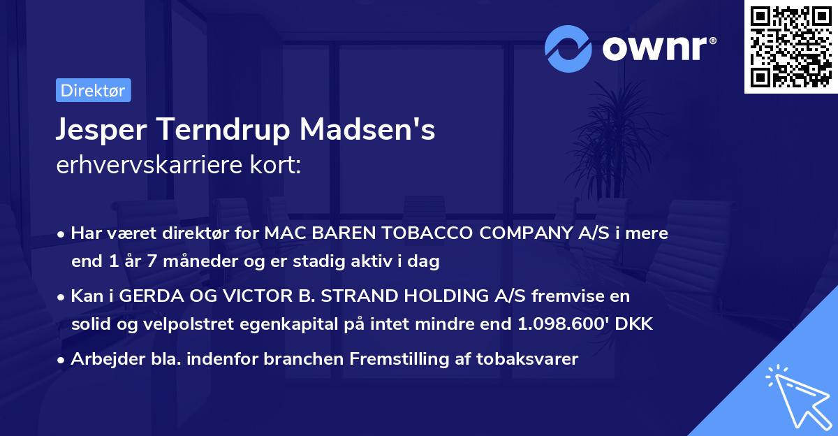 Jesper Terndrup Madsen's erhvervskarriere kort